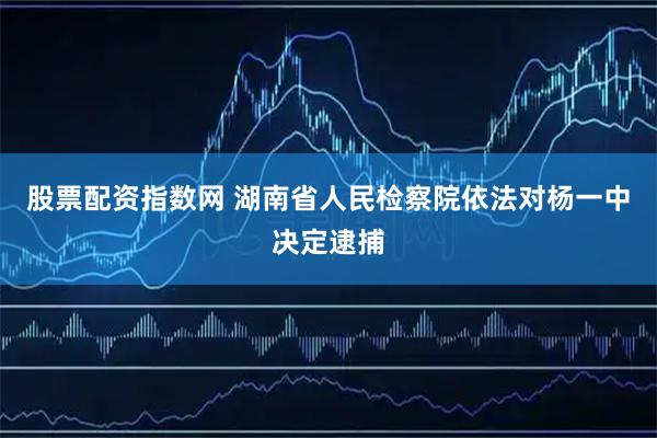 股票配资指数网 湖南省人民检察院依法对杨一中决定逮捕