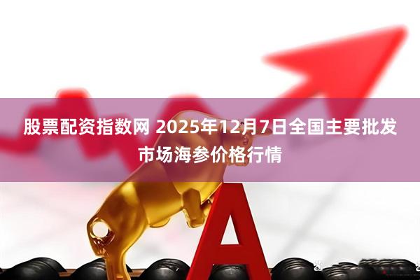 股票配资指数网 2025年12月7日全国主要批发市场海参价格行情