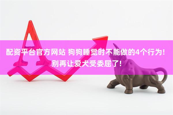 配资平台官方网站 狗狗睡觉时不能做的4个行为! 别再让爱犬受委屈了!