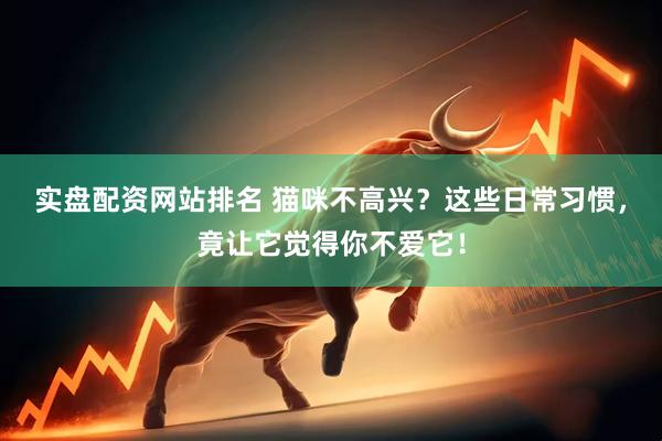 实盘配资网站排名 猫咪不高兴？这些日常习惯，竟让它觉得你不爱它！